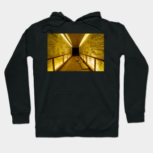 Way into the Darkness Hoodie